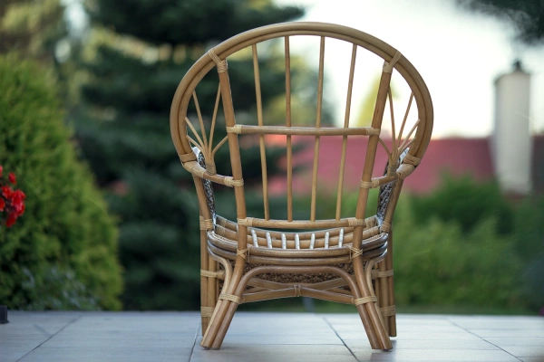 Rattansessel Rückseite