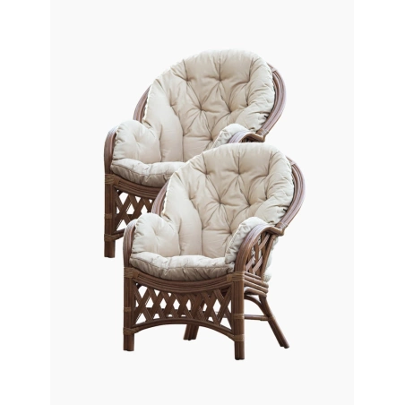 Bequemer Rattansessel Set