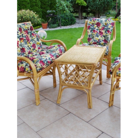 Frühlings-Rattan-Set