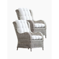 Natürlicher grauer Rattansessel - Set mit 2 Stück