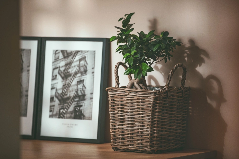 Ratanový obal, kvetináč na kvety