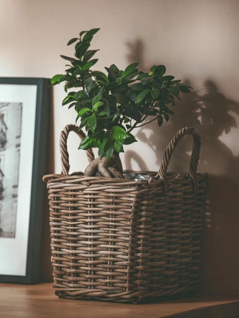 Rattanowa osłonka, doniczka na kwiaty