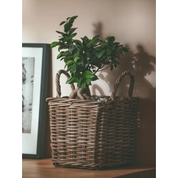 Rattanowa doniczka, osłonka na kwiaty, rattan naturalny