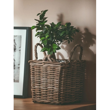 Ratanový obal, kvetináč na kvety