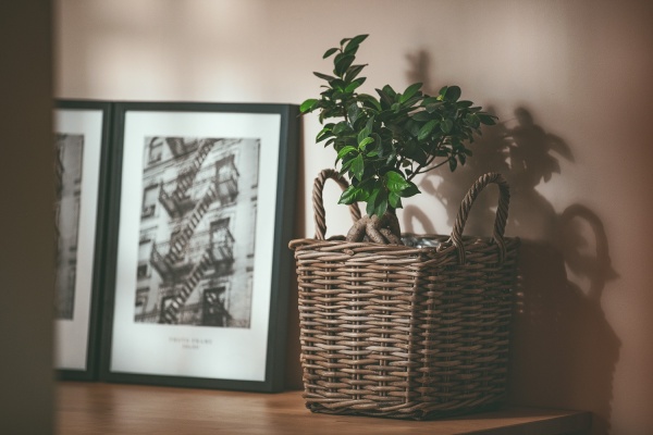 Wazony rattanowe, osłonki - donice rattanowe naturalne