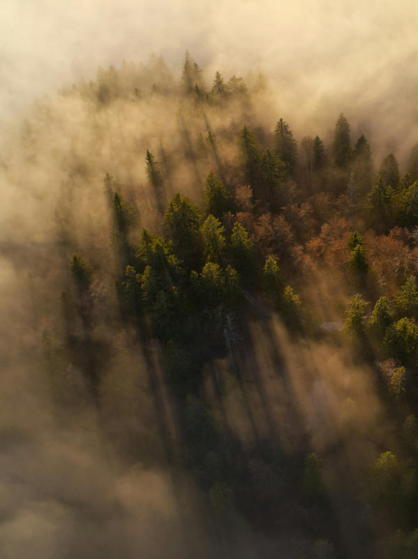 egoztyczny krajobraz indonezja