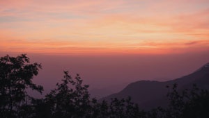 Psychológia a príroda