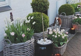 Rattanaccessoires, klein, aber mit großer Wirkung..