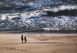 Spaziergang entlang des Meeres mit dem untrennbaren Begleiter – der Natur