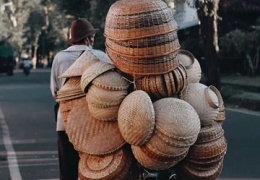 8 Dinge, die Sie nicht über Rattan wissen