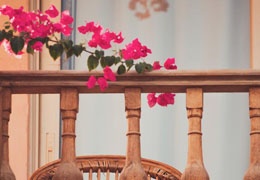 Kawka na tarasie, wśród natury