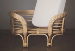 Ratan – aj pre psíkov a mačičky