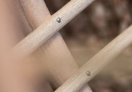 Rustic charm, idyll, and rattan furniture