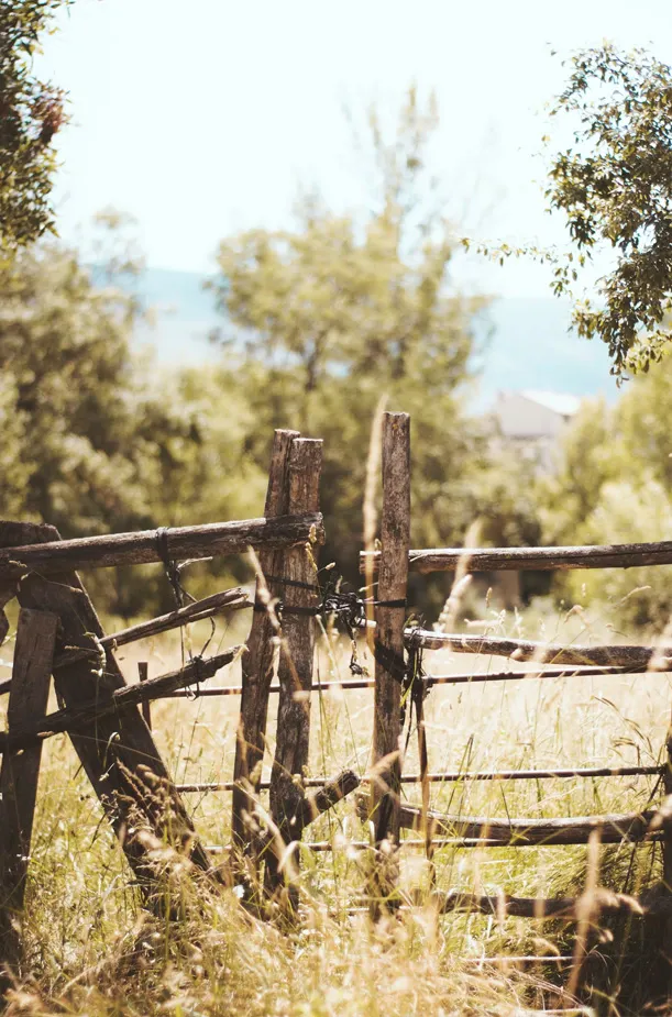 príroda, vidiecky oddych