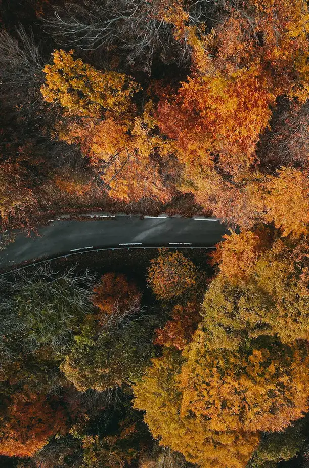 natura przyroda wschód słońca