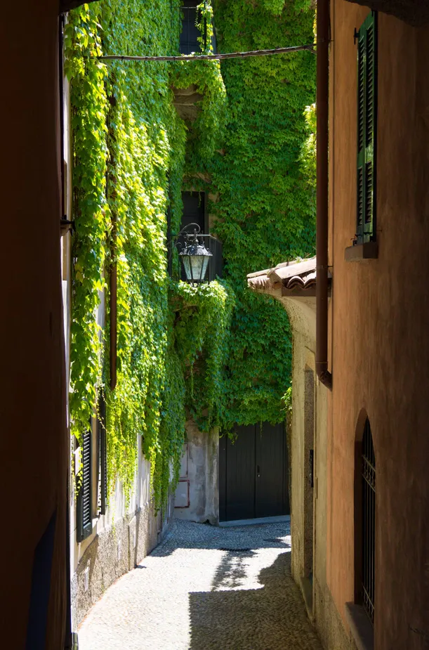 Ratanové kreslo prírodný dom záhrada