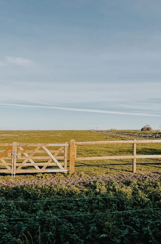 sielski krajobraz natury